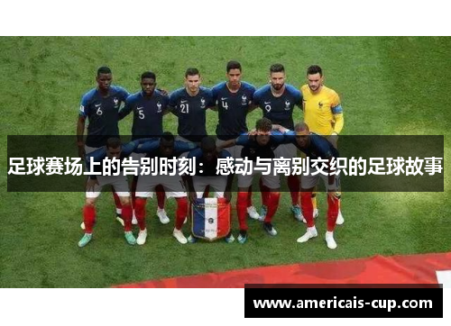 足球赛场上的告别时刻：感动与离别交织的足球故事