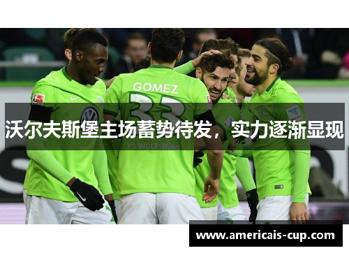 沃尔夫斯堡主场蓄势待发，实力逐渐显现